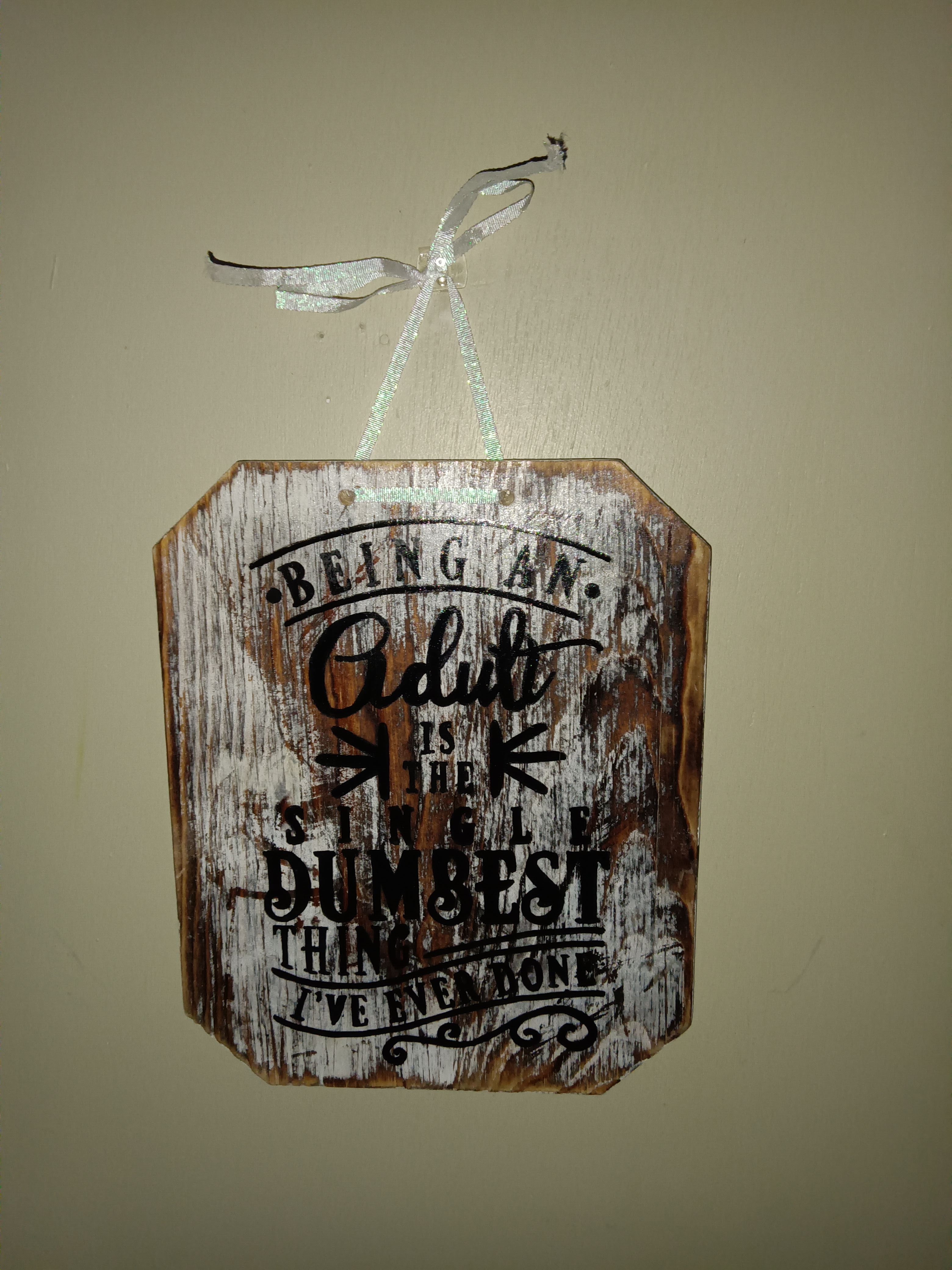 Funny Adult Quote Decor