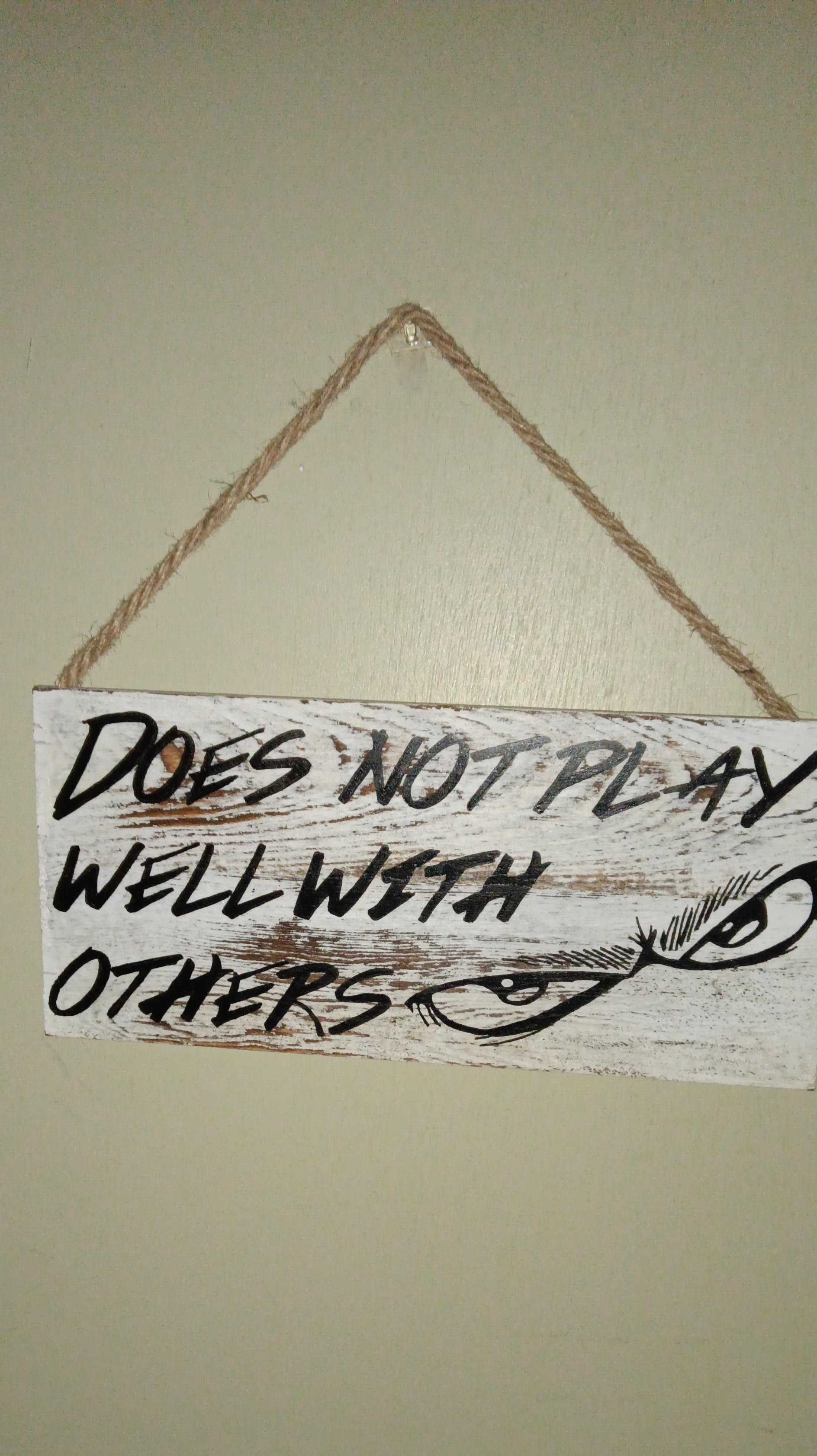 Does Not Play Well With Others Hanging Sign